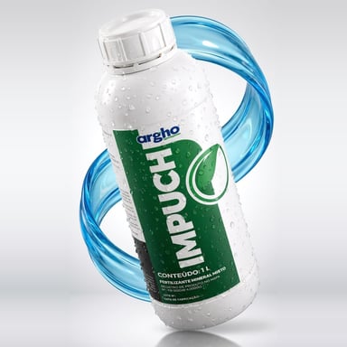 Impuch